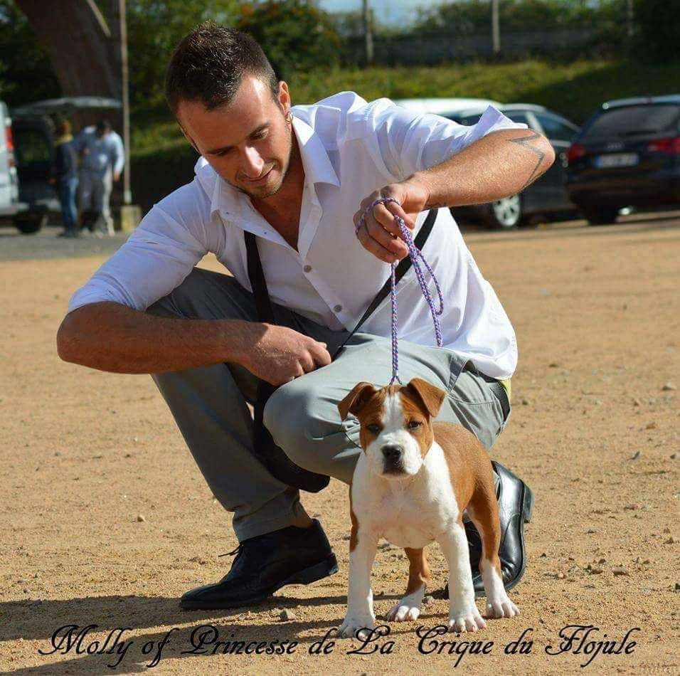 Molly princess of dream De la crique du Flojule